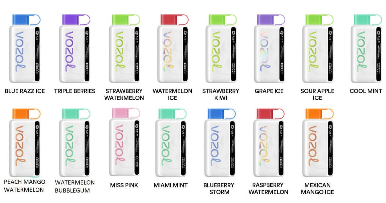 Vozol Star 9000 Puff Disposable 53674 Vozol Star 9000 Puff Disposable 53674