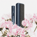 floral background designify floral background designify