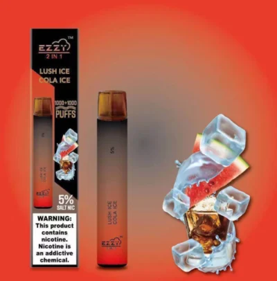 Ezzy 2 in 1 Tek Kullanımlık - 2000 Puff