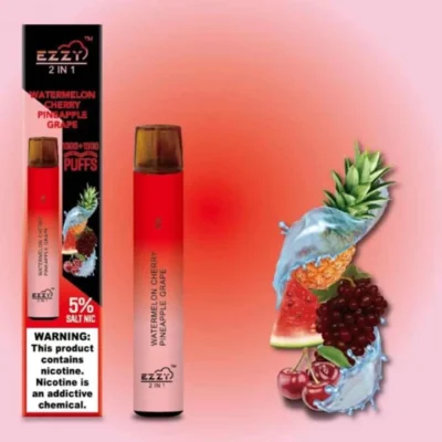 Ezzy 2 in 1 Tek Kullanımlık - 2000 Puff