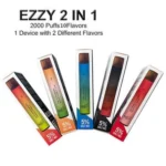 Ezzy 2 in 1 Tek Kullanımlık - 2000 Puff