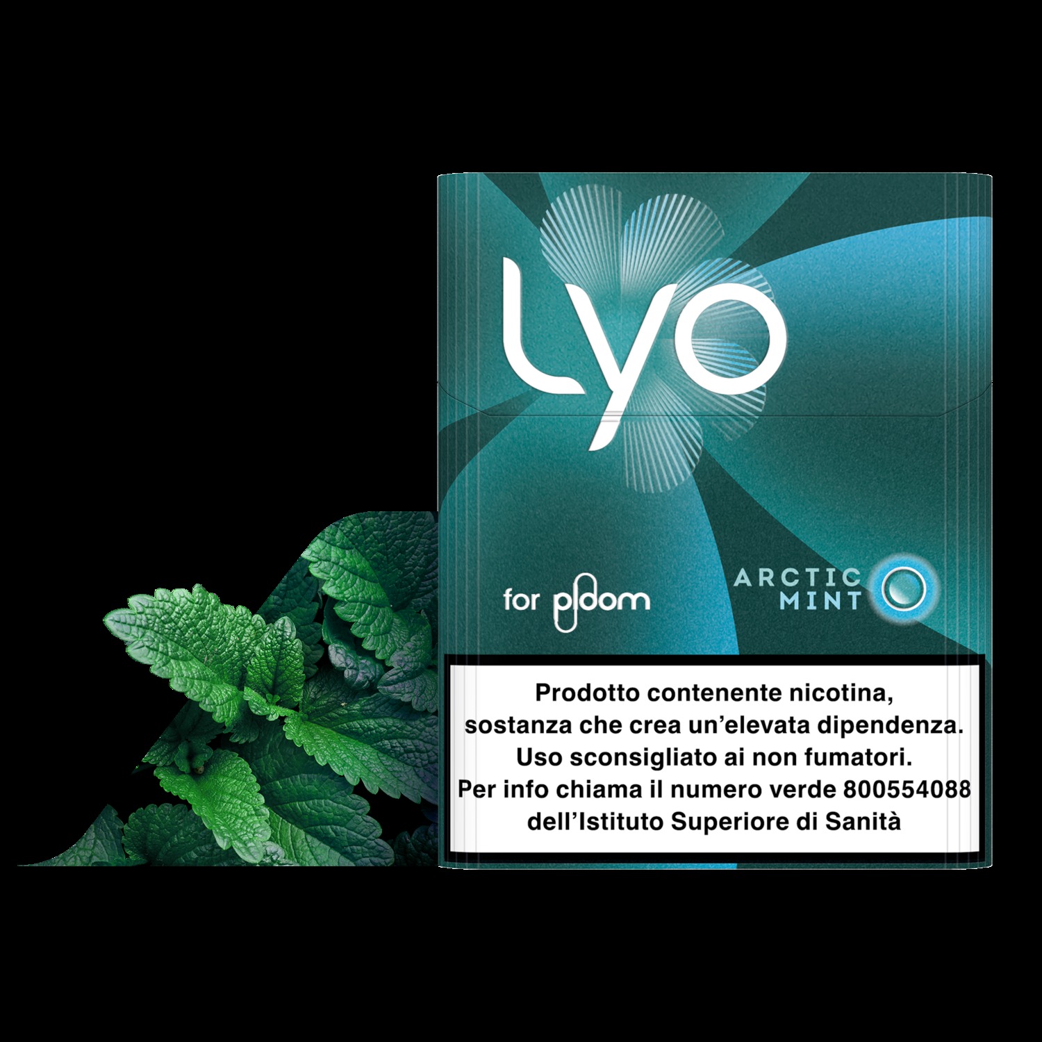 Lyo Lyo Arctic Mint paketi ve nane yaprakları